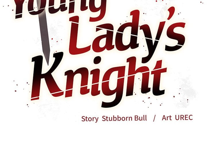 I Will Protect the Lady - Chapter 47 Page 2